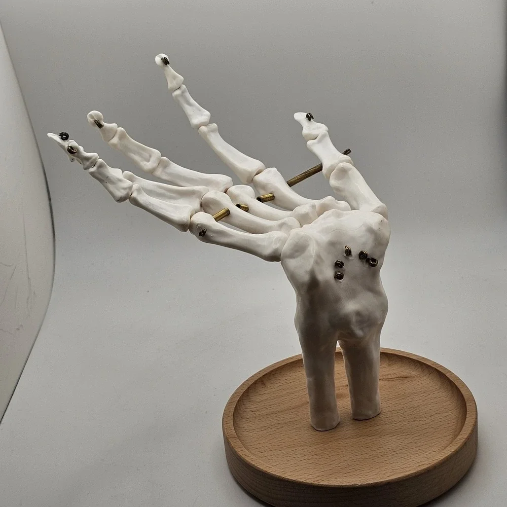 Suck UK Skeleton Hand Jewelry Tidy Holder Organizer Halloween